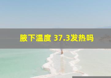 腋下温度 37.3发热吗